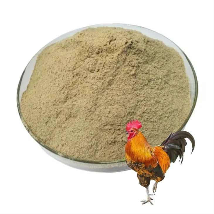 Feed Additives in Poultry
